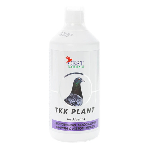 Cest tkk plant all - plant,