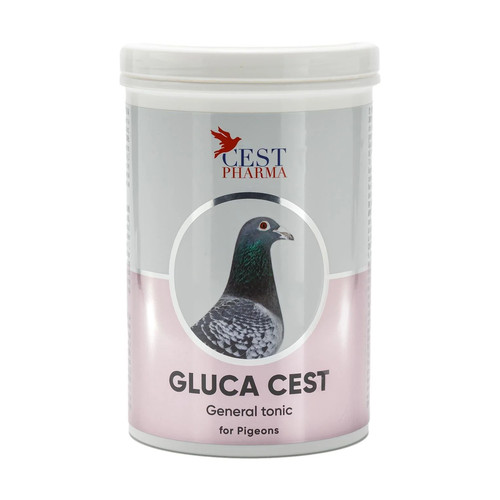Gluca cest for pigeons - gluca,
