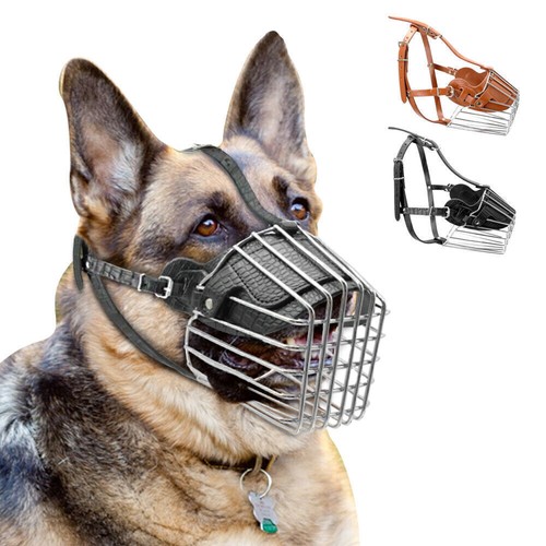 Nuova museruola per - cani, san